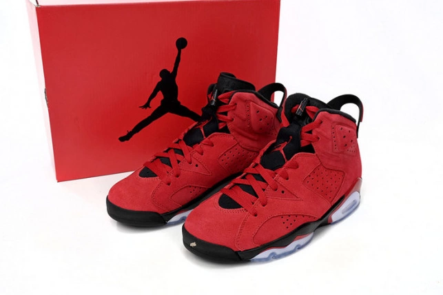 CT8529-600 Air Toro Jordan 6 0811